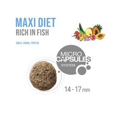 Корм для взрослых склонных к аллергии собак крупных пород Forza10 Maxi Diet, с рыбой, 1,5 кг цена и информация |  Сухой корм для собак | 220.lv