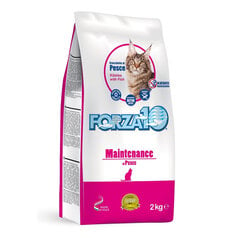 Forza10 Maintenance pieaugušiem kaķiem ar zivi, 2kg cena un informācija | Sausā barība kaķiem | 220.lv