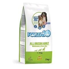 Forza10 Maintenance All breeds suņiem ar zivi un rīsiem, 2kg cena un informācija | Sausā barība suņiem | 220.lv