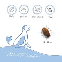 Сухой корм для взрослых собак всех пород и размеров с рыбой и рисом Maintenance All breeds, 2кг цена и информация | Сухой корм для собак | 220.lv