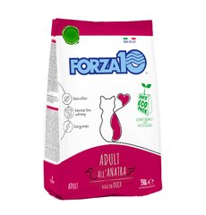 Forza10 Maintenance Adult kaķiem ar pīli,1kg цена и информация | Сухой корм для кошек | 220.lv