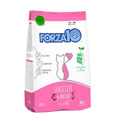 Forza10 Maintenance Sensitive jutīgiem kaķiem ar cūkgaļu, 350g цена и информация | Сухой корм для кошек | 220.lv