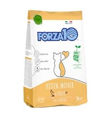 Forza10 Maintenance Kitten kaķēniem un grūsnām vai laktējošām kaķenēm ar vistu, 350g cena un informācija | Sausā barība kaķiem | 220.lv