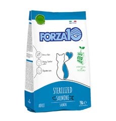 Forza10 Maintenance Sterilized sausā barība sterilizētiem kaķiem ar lasi, 350g цена и информация | Сухой корм для кошек | 220.lv