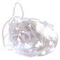 Ziemassvētku eglīšu lampas, 5m, auksti balti цена и информация | Ziemassvētku lampiņas, LED virtenes | 220.lv