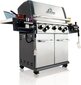 Gāzes grils Broil King Regal S 590 IR цена и информация | Grili | 220.lv