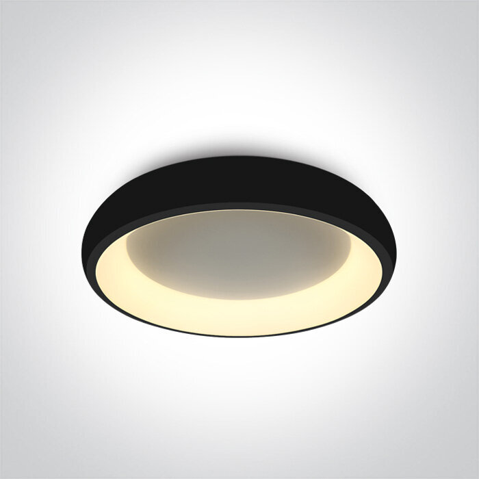 OneLight griestu lampa LED Decorative Plafo 62134N/B/W цена и информация | Griestu lampas | 220.lv