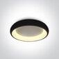 OneLight griestu lampa LED Decorative Plafo 62134N/B/W цена и информация | Griestu lampas | 220.lv