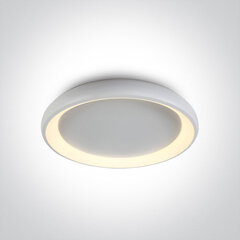ONELight потолочный светильник LED Decorative Plafo 62144N/W/W цена и информация | Потолочный светильник | 220.lv