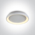 ONELight потолочный светильник LED Decorative Plafo 62144N/W/W