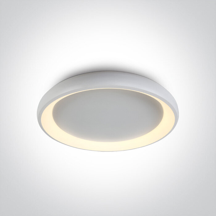 OneLight griestu lampa LED Decorative Plafo цена и информация | Griestu lampas | 220.lv