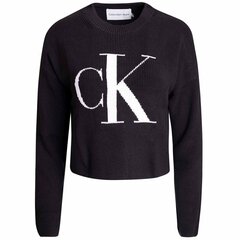 Džemperis vīriešiem Calvin Klein Jeans, melns cena un informācija | Sieviešu džemperi | 220.lv