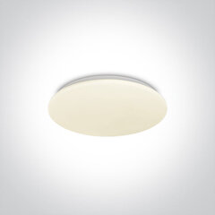 OneLight griestu lampa Led Plafo 62026A/W cena un informācija | Griestu lampas | 220.lv