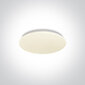 OneLight griestu lampa Led Plafo 62026A/W cena un informācija | Griestu lampas | 220.lv