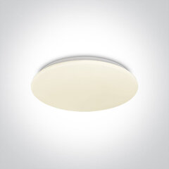 OneLight griestu lampa LED Plafo 62026C/W цена и информация | Потолочные светильники | 220.lv