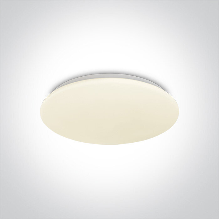 OneLight griestu lampa LED Plafo 62026C/W cena un informācija | Griestu lampas | 220.lv