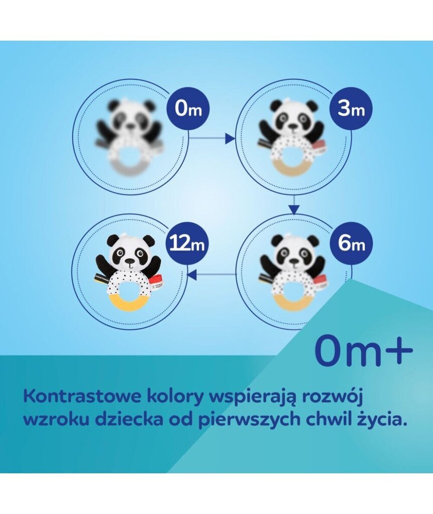 Izglītojošs paklājiņš ar spoguli Canpol cena un informācija | Attīstošie paklājiņi | 220.lv