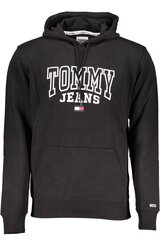 ДЖЕМПЕР TOMMY HILFIGER DM0DM16792 цена и информация | Мужские толстовки | 220.lv