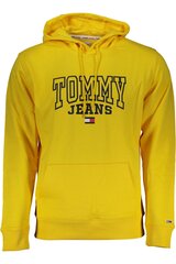 ДЖЕМПЕР TOMMY HILFIGER DM0DM16792 цена и информация | Мужские толстовки | 220.lv