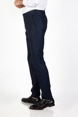 Брюки мужские Frappoli, тёмно синий цена и информация | Мужские брюки | 220.lv