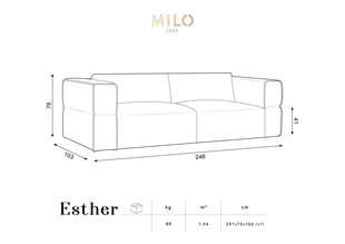 Диван Milo Casa Esther, 248x103x78 см, синий цвет цена и информация | Диваны | 220.lv