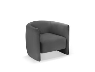 Кресло Cosmopolitan Design Pelago, серый цвет цена и информация | Кресла в гостиную | 220.lv