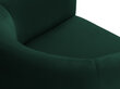 Krēsls Cosmopolitan Design Pelago, zaļš cena un informācija | Atpūtas krēsli | 220.lv