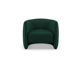 Кресло Cosmopolitan Design Pelago, зеленый цвет цена и информация | Кресла в гостиную | 220.lv