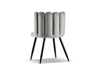 2-u krēslu komplekts Cosmopolitan Design Evora, pelēks cena un informācija | Virtuves un ēdamistabas krēsli | 220.lv
