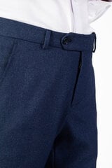 Брюки мужские Frappoli, синие цена и информация | Мужские брюки | 220.lv