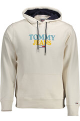 Džemperis vīriešiem Tommy Hilfiger DM0DM12941, balts cena un informācija | Vīriešu jakas | 220.lv