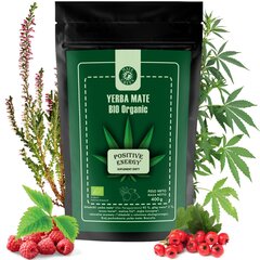 Tēja Yerba Mate Bio Organic Positive Energy, 200 g cena un informācija | Tēja | 220.lv