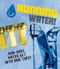 Running Water!: How does water get into our taps? цена и информация | Книги для подростков и молодежи | 220.lv