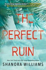 Perfect Ruin: A Riveting New Psychological Thriller cena un informācija | Fantāzija, fantastikas grāmatas | 220.lv