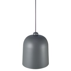 Nordlux подвесной светильник Angle 2020673011 цена и информация | Потолочные светильники | 220.lv