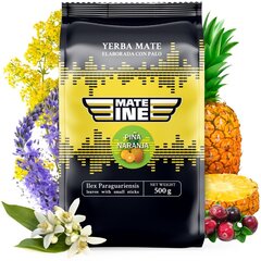 Чай Yerba Mate Mateine Pina Naranja, 500 г цена и информация | Чай | 220.lv