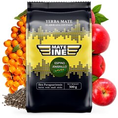 Tēja Yerba Mate Mateine Espino Amarillo, 500 g cena un informācija | Tēja | 220.lv