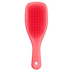 Щетка для волос Tangle Teezer Ultimate Detangler Mini цена и информация | Расчески, щетки для волос, ножницы | 220.lv