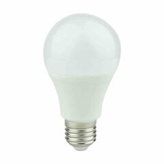 LED spuldze Eko-light, E27, 820 lm, 3000 K, 1 gab. цена и информация | Лампочки | 220.lv