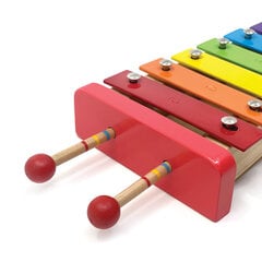 Музыкальный инструмент для детей - Kрасочный металлофон (8 нот), Svoora SV14014 цена и информация | Развивающие игрушки | 220.lv