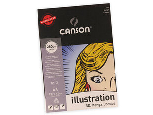 Zīmēšanas bloks Illustration Manga A3/250g, 12 lapas cena un informācija | Burtnīcas un papīra preces | 220.lv