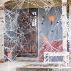 Helovīna dekorācija, zirnekļa tīkls + 20 zirnekļi цена и информация | Карнавальные костюмы, парики и маски | 220.lv