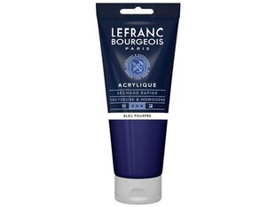 Akrila krāsa blue purple LB Fine 045, 200ml cena un informācija | Modelēšanas un zīmēšanas piederumi | 220.lv