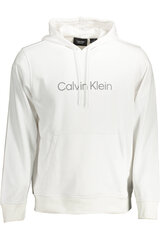 Джемпер для мужчин Calvin Klein, белый цена и информация | Мужские толстовки | 220.lv