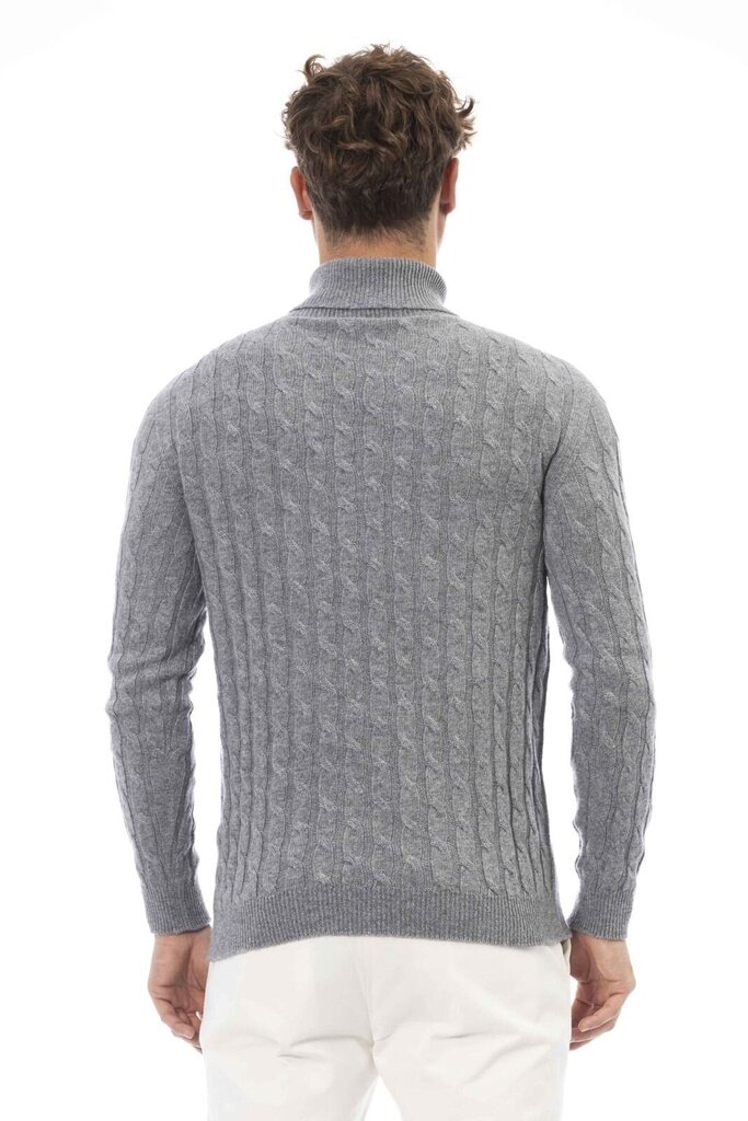 Džemperis Alpha Studio AU113G cena un informācija | Vīriešu džemperi | 220.lv