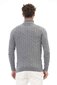 Džemperis Alpha Studio AU113G цена и информация | Vīriešu džemperi | 220.lv