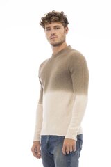 Džemperis Alpha Studio AU7073C cena un informācija | Vīriešu džemperi | 220.lv
