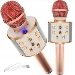 Karaoke mikrofons bērniem cena un informācija | Attīstošās rotaļlietas | 220.lv