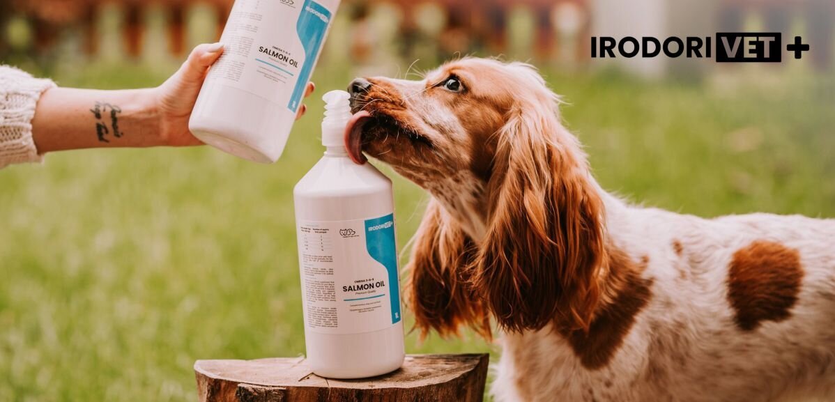 Laša eļļa suņiem un kaķiem Irodori Vet 1000ml цена и информация | Vitamīni, uztura bagātinātāji, pretparazītu līdzekļi suņiem | 220.lv
