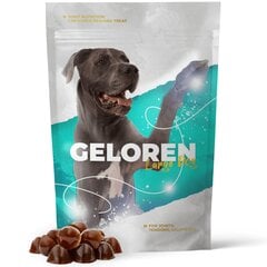Piedevas suņiem locītavām Geloren HA Large Dog 420g цена и информация | Витамины, пищевые добавки для кошек | 220.lv